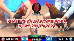 phát lại đá gà campuchia 29/07/2024