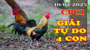 Gà Đá Giải 4 Con Tự Do Bồ CPC1 Ngày 10/07/2025