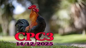 Trực Tiếp Đá Gà CPC3 Hôm Nay 14122025 Full HD